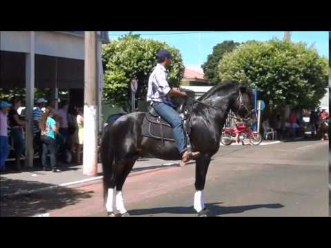 Taboadão Cavalgada 2014