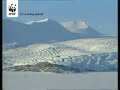 Global Warming and Polar Bears