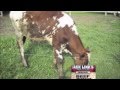 7th Grade Commercials - Jack Links Beef Jerky