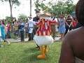 Donald Duck