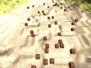 RandomChaos 3D Engine - Physics RandomChaos 3D Engine - Physics