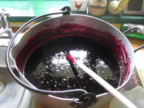 how to fertilize black currant