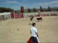 Pe�a EL PITORREO Capea\