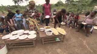 Edible insects 