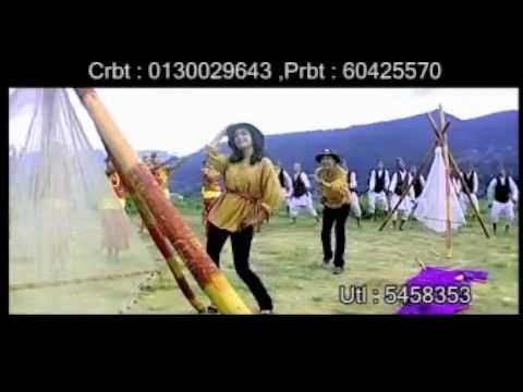 Lalu pate phool chhaina by Array