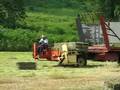 Hay Hauling