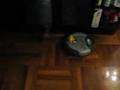 Roomba with monkichi