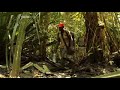 First Contact (BBC4 Anthropology Season) - Part 4 of 6