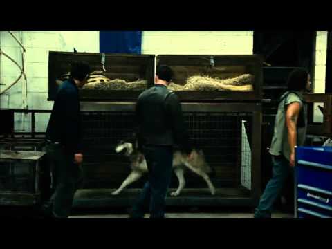 CONTRABAND | Trailer | Español | Castellano