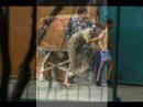 Beslan School Hostage Crisis Remembered