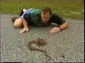 Chief Rowley vs. Red Rat Snake Bite on Road