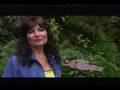 Weird Homes Video - Violette