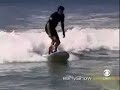 un chien qui fait du surf