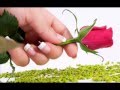 A jao meri tamana by Usman Ali 03227460739 Channu Mome