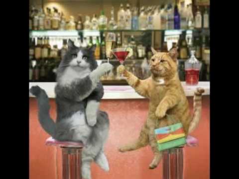 Animaux