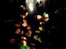 Video 8
