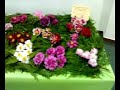 IV Exposicion de la Camelia en Boiro