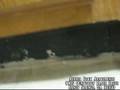 videos de Azalea Park Apartments in Georgia