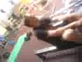 videos de Ergo