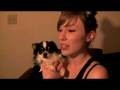 videos de Vlog: Supernote Wrap-up with Petey!