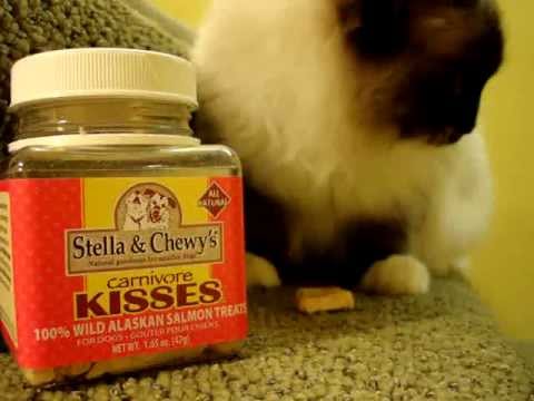 0 Stella And Chewys Carnivore Kisses
