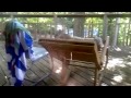 Veverička pred kamerou