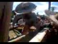 videos de Potro 8 seg.3gp