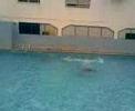 Queda na piscina 2008