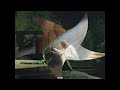 Na hora certa – Dany Grace Na hora certa – Dany Grace
