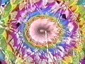 Spectrum - How You Satisfy Me