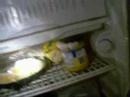Forgetful Mildew