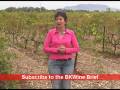 videos de [E] Montirius, #3 - a biodynamic wine grower, the story