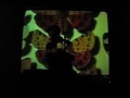 anti en los LABconciertos (Gijón, 31-07-2010): tan genial como en disco
