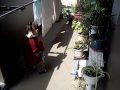 watering plants in Japan