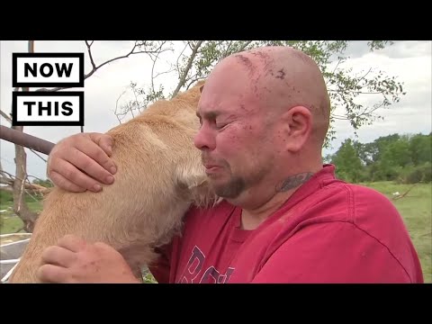 Tornado zabrało mu wszystko, nawet najlepszego przyjaciela. Myślał, że już go nie zobaczy ale zdarzył się cud!