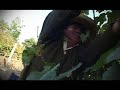 Pisco Payet