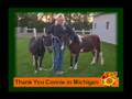 YouTube - Chances Miniature Horse Rescue