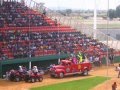 DELICIAS CHIHUAHUA II