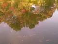 videos de silencio