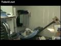 Kick Destroys College Bunk Bed
