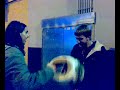 q cabezon eres mamon xDDDaki tenemos al loco dandole un buen cascazo al cabezon en toa la frente jajaja. ( d fondo grabando y riendose el chistoso) xD