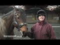 How to Lunge a Horse with a Chambon