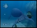 Endless Ocean - Atlantic Northern Right Whale