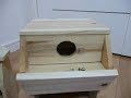 sugar glider / new house for double momonga