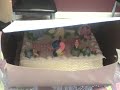 BIRTHDAY