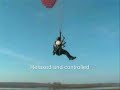 Demetrious flies