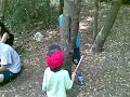 Return of the forest Jedis