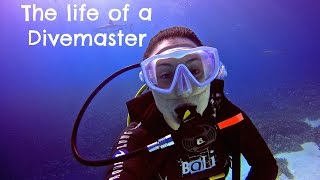 Life as a Dive Master
