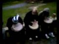 videos de Trummor i skogen