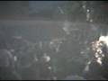 videos de torito de Petate El Incomparable 4